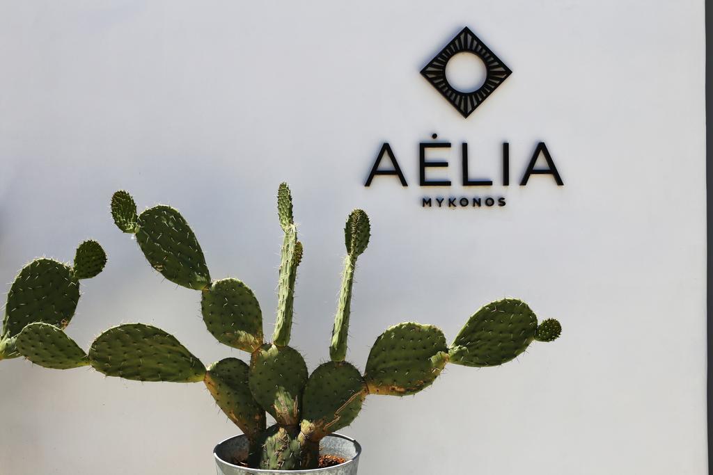 Aelia Mykonos Hotell Ornós Eksteriør bilde
